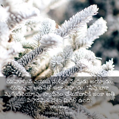 Picture 03 - యెహోషువ 13:1 TELIRV - యెహోషువ వయసు - Bible Verse Picture