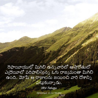 Picture 03 - యెహోషువ 13:12 TELIRV - రెఫాయీయుల్లో - Bible Verse Picture