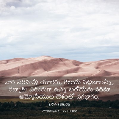 Picture 03 - యెహోషువ 13:25 TELIRV - వారి సరిహద్దు - Bible Verse Picture