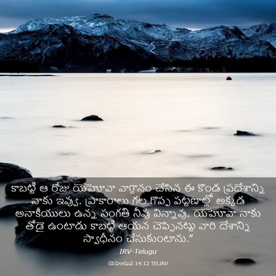 Picture 03 - యెహోషువ 14:12 TELIRV - కాబట్టి ఆ రోజు - Bible Verse Picture