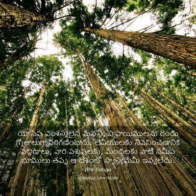 Picture 03 - యెహోషువ 14:4 TELIRV - యోసేపు వంశస్తులైన - Bible Verse Picture
