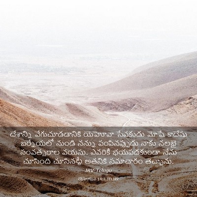 Picture 03 - యెహోషువ 14:7 TELIRV - దేశాన్ని - Bible Verse Picture
