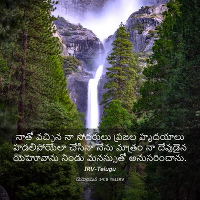 Picture 03 - యెహోషువ 14:8 TELIRV - నాతో వచ్చిన నా - Bible Verse Picture