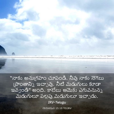 Picture 03 - యెహోషువ 15:19 TELIRV - “నాకు అనుగ్రహం - Bible Verse Picture