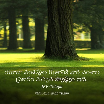 Picture 03 - యెహోషువ 15:20 TELIRV - యూదా వంశస్థుల - Bible Verse Picture