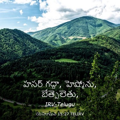 Picture 03 - యెహోషువ 15:27 TELIRV - హసర్ గద్దా, - Bible Verse Picture