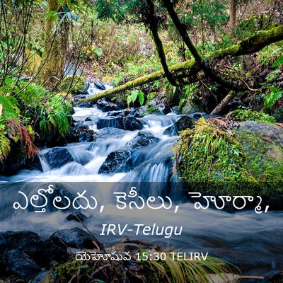 Picture 03 - యెహోషువ 15:30 TELIRV - ఎల్తోలదు, కెసీలు, - Bible Verse Picture