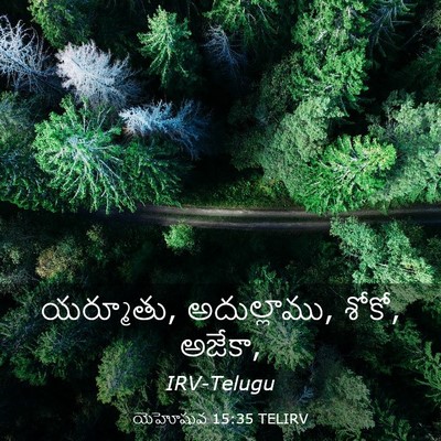 Picture 03 - యెహోషువ 15:35 TELIRV - యర్మూతు, - Bible Verse Picture
