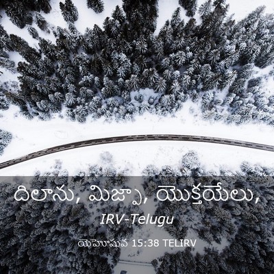 Picture 03 - యెహోషువ 15:38 TELIRV - దిలాను, మిజ్పా, - Bible Verse Picture