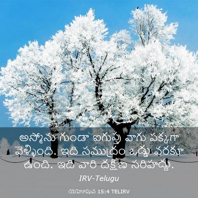 Picture 03 - యెహోషువ 15:4 TELIRV - అస్మోను గుండా - Bible Verse Picture