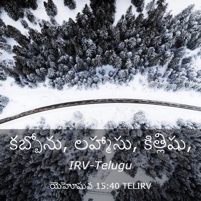 Picture 03 - యెహోషువ 15:40 TELIRV - కబ్బోను, లహ్మాసు, - Bible Verse Picture