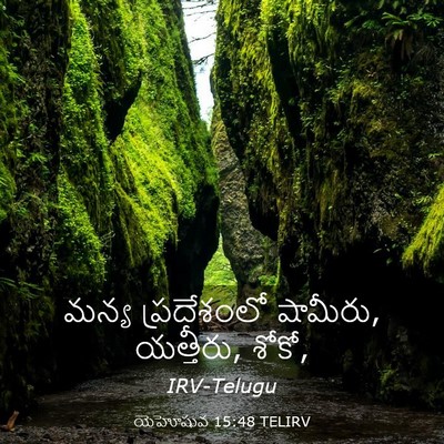 Picture 03 - యెహోషువ 15:48 TELIRV - మన్య ప్రదేశంలో - Bible Verse Picture