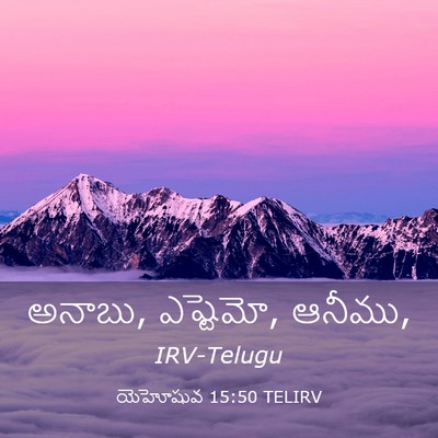Picture 03 - యెహోషువ 15:50 TELIRV - అనాబు, ఎష్టెమో, - Bible Verse Picture