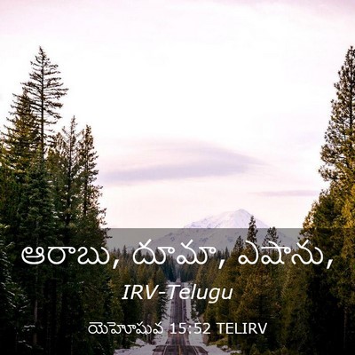 Picture 03 - యెహోషువ 15:52 TELIRV - ఆరాబు, దూమా, - Bible Verse Picture