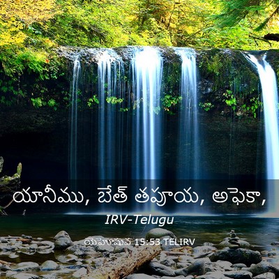 Picture 03 - యెహోషువ 15:53 TELIRV - యానీము, బేత్ తపూయ, - Bible Verse Picture