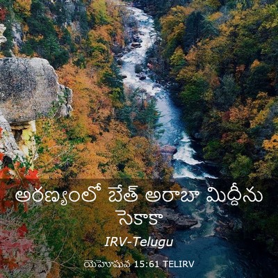 Picture 03 - యెహోషువ 15:61 TELIRV - అరణ్యంలో బేత్ - Bible Verse Picture