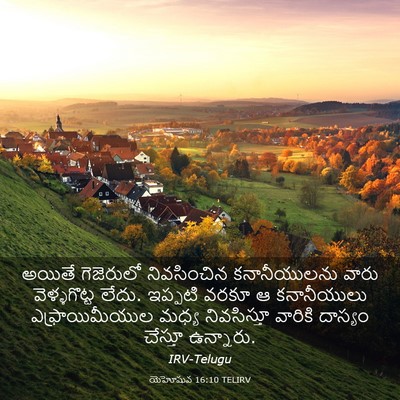 Picture 03 - యెహోషువ 16:10 TELIRV - అయితే గెజెరులో - Bible Verse Picture