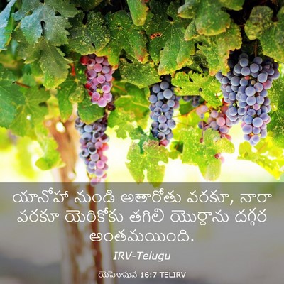 Picture 03 - యెహోషువ 16:7 TELIRV - యానోహా నుండి - Bible Verse Picture