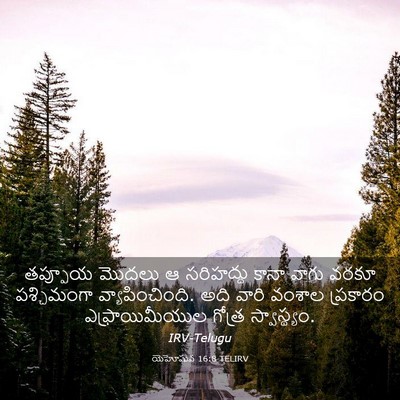 Picture 03 - యెహోషువ 16:8 TELIRV - తప్పూయ మొదలు ఆ - Bible Verse Picture
