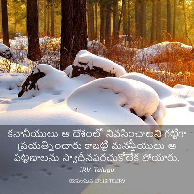 Picture 03 - యెహోషువ 17:12 TELIRV - కనానీయులు ఆ - Bible Verse Picture