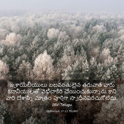 Picture 03 - యెహోషువ 17:13 TELIRV - ఇశ్రాయేలీయులు - Bible Verse Picture
