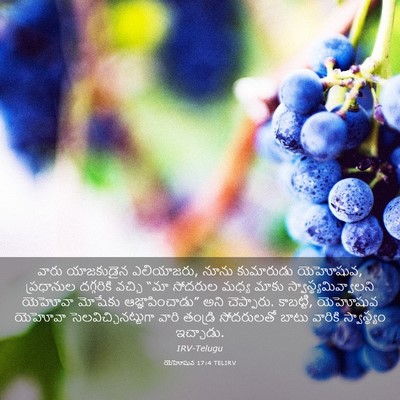 Picture 03 - యెహోషువ 17:4 TELIRV - వారు యాజకుడైన - Bible Verse Picture