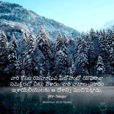 Picture 03 - యెహోషువ 18:10 TELIRV - వారి కోసం యెహోషువ - Bible Verse Picture