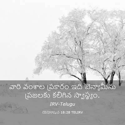 Picture 03 - యెహోషువ 18:28 TELIRV - వారి వంశాల - Bible Verse Picture