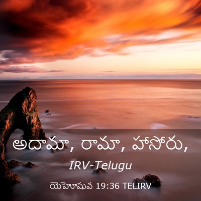 Picture 03 - యెహోషువ 19:36 TELIRV - అదామా, రామా, - Bible Verse Picture