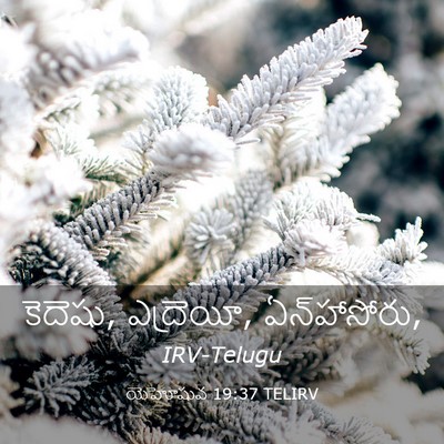 Picture 03 - యెహోషువ 19:37 TELIRV - కెదెషు, ఎద్రెయీ, - Bible Verse Picture