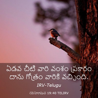 Picture 03 - యెహోషువ 19:40 TELIRV - ఏడవ చీటి వారి వంశం - Bible Verse Picture