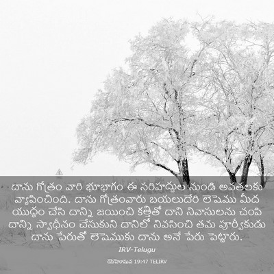 Picture 03 - యెహోషువ 19:47 TELIRV - దాను గోత్రం వారి - Bible Verse Picture