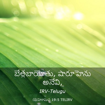 Picture 03 - యెహోషువ 19:5 TELIRV - బేత్లబాయోతు, - Bible Verse Picture