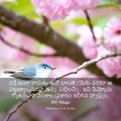 Picture 03 - యెహోషువ 19:8 TELIRV - దక్షిణంగా రామతు - Bible Verse Picture
