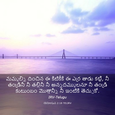 Picture 03 - యెహోషువ 2:18 TELIRV - మమ్మల్ని దించిన ఈ - Bible Verse Picture