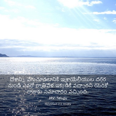 Picture 03 - యెహోషువ 2:2 TELIRV - దేశాన్ని - Bible Verse Picture