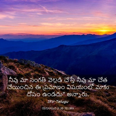 Picture 03 - యెహోషువ 2:20 TELIRV - నీవు మా సంగతి - Bible Verse Picture