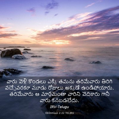 Picture 03 - యెహోషువ 2:22 TELIRV - వారు వెళ్లి - Bible Verse Picture