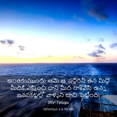 Picture 03 - యెహోషువ 2:6 TELIRV - అంతకుముందు ఆమె ఆ - Bible Verse Picture