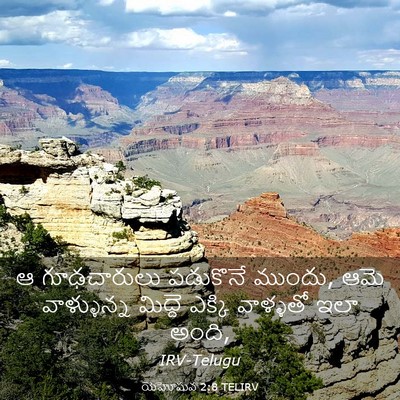 Picture 03 - యెహోషువ 2:8 TELIRV - ఆ గూఢచారులు - Bible Verse Picture