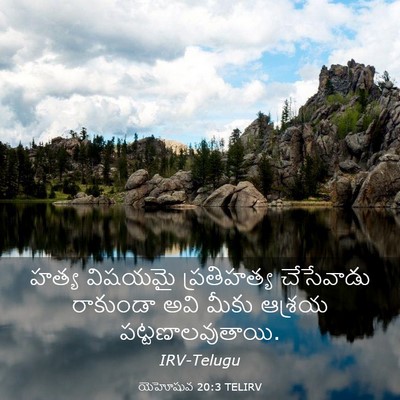 Picture 03 - యెహోషువ 20:3 TELIRV - హత్య విషయమై - Bible Verse Picture
