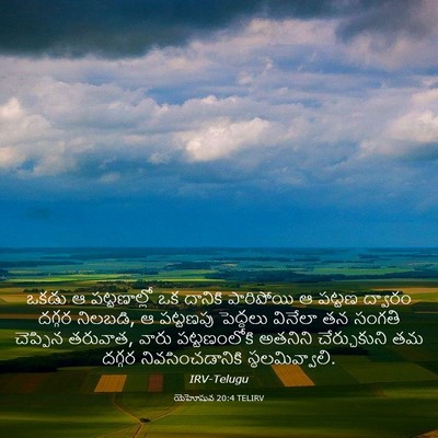 Picture 03 - యెహోషువ 20:4 TELIRV - ఒకడు ఆ పట్టణాల్లో - Bible Verse Picture