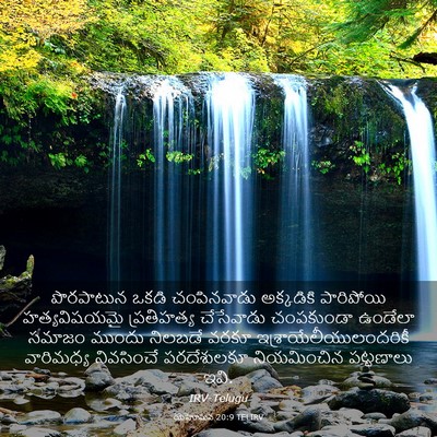 Picture 03 - యెహోషువ 20:9 TELIRV - పొరపాటున ఒకడి - Bible Verse Picture
