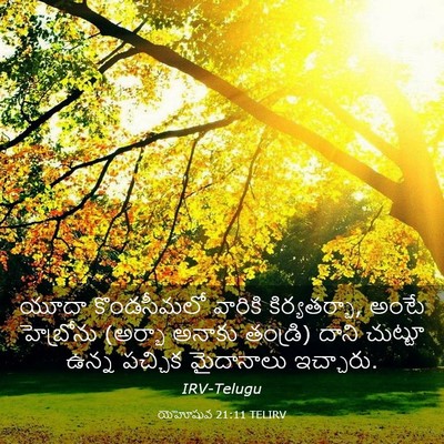 Picture 03 - యెహోషువ 21:11 TELIRV - యూదా కొండసీమలో - Bible Verse Picture
