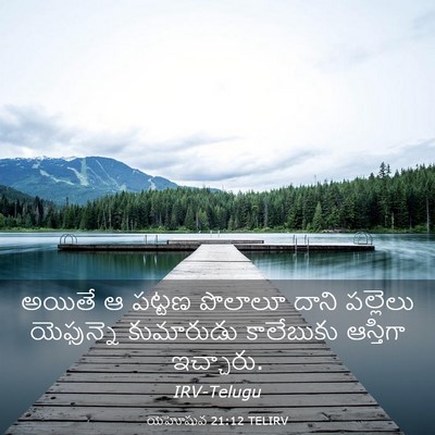 Picture 03 - యెహోషువ 21:12 TELIRV - అయితే ఆ పట్టణ - Bible Verse Picture