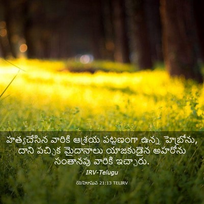 Picture 03 - యెహోషువ 21:13 TELIRV - హత్యచేసిన వారికి - Bible Verse Picture