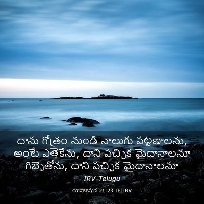 Picture 03 - యెహోషువ 21:23 TELIRV - దాను గోత్రం నుండి - Bible Verse Picture