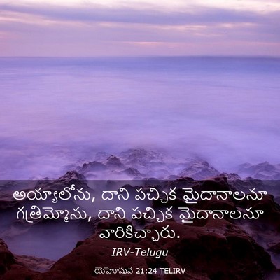 Picture 03 - యెహోషువ 21:24 TELIRV - అయ్యాలోను, దాని - Bible Verse Picture
