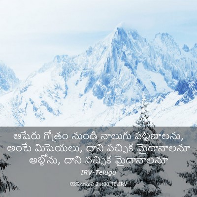 Picture 03 - యెహోషువ 21:30 TELIRV - ఆషేరు గోత్రం - Bible Verse Picture