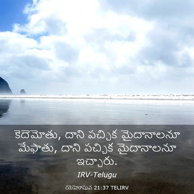 Picture 03 - యెహోషువ 21:37 TELIRV - కెదెమోతు, దాని - Bible Verse Picture